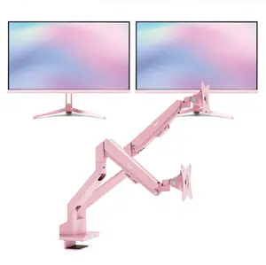PX246 Wave Pink Monitor + Dual Monitor Arm Bundle