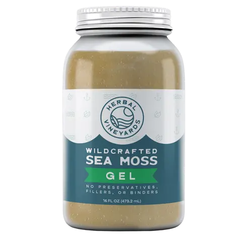 Herbal Vineyards Organic Gold Sea Moss Gel, 16 oz Jar, Non-GMO Verified, Pure Unflavored Superfood Supplement, Springwater-Based, Supports Wellness, All Ages Dietary Nutritional Healthcare Staple, Natural Wellness Boost, Harvested from St. Lucia Waters, S