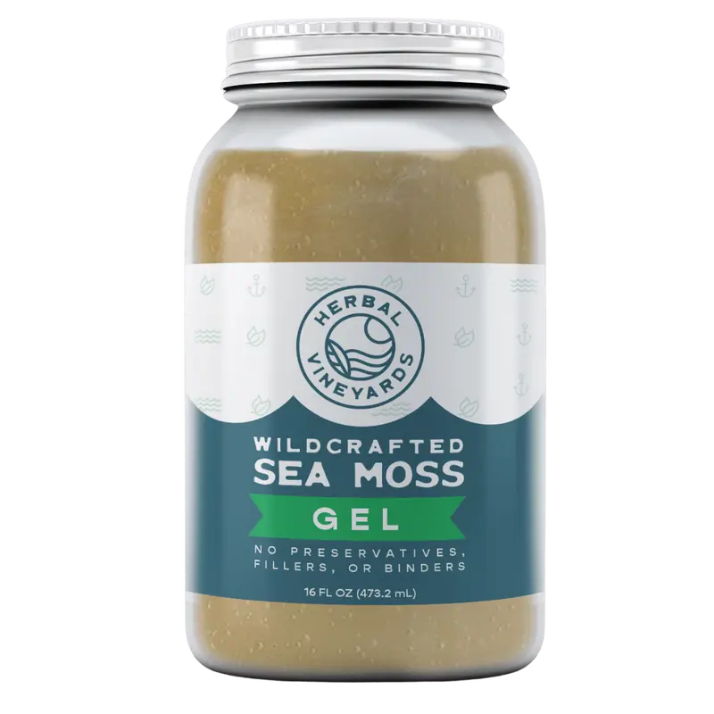 Herbal Vineyards Organic Gold Sea Moss Gel, 16 oz Jar, Non-GMO Verified, Pure Unflavored Superfood Supplement, Springwater-Based, Supports Wellness, All Ages Dietary Nutritional Healthcare Staple, Natural Wellness Boost, Harvested from St. Lucia Waters, S