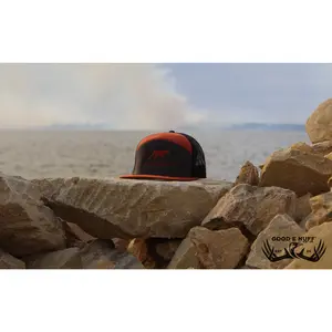 Copper Point and Shoot