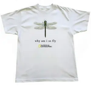National Geographic with dragonfly graphic baby tee Womenswear Top Cotton