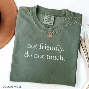 Comfort Colors Not Friendly Do Not Touch T-Shirt, Sarcastic Quote Tee, Funny Adult Humor Graphic T-shirt, Trendy Quote Gift Idea