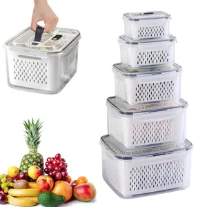 5 Piece Food Storage Set with Drain Basket, Plastic Material, Removable Filter, Leak Proof, Ideal for Berries, Vegetables, Meat