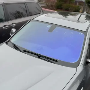 Chameleon Tint Purple Light with Blue