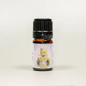 Citrus Fizz Diffuser Blend – Fresh Lime, Lemon & Mint Essential Oils Fresh Uplifting Bubbly Citrus Aromatherapy