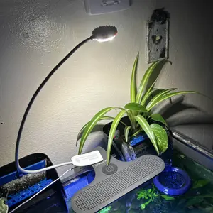 review image 3