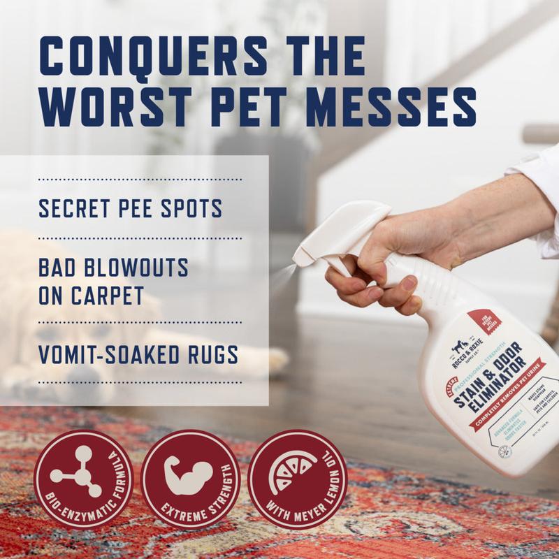 Rocco & Roxie Extreme Stain & Odor Eliminator | Clean Carpets, Floors and Sofas