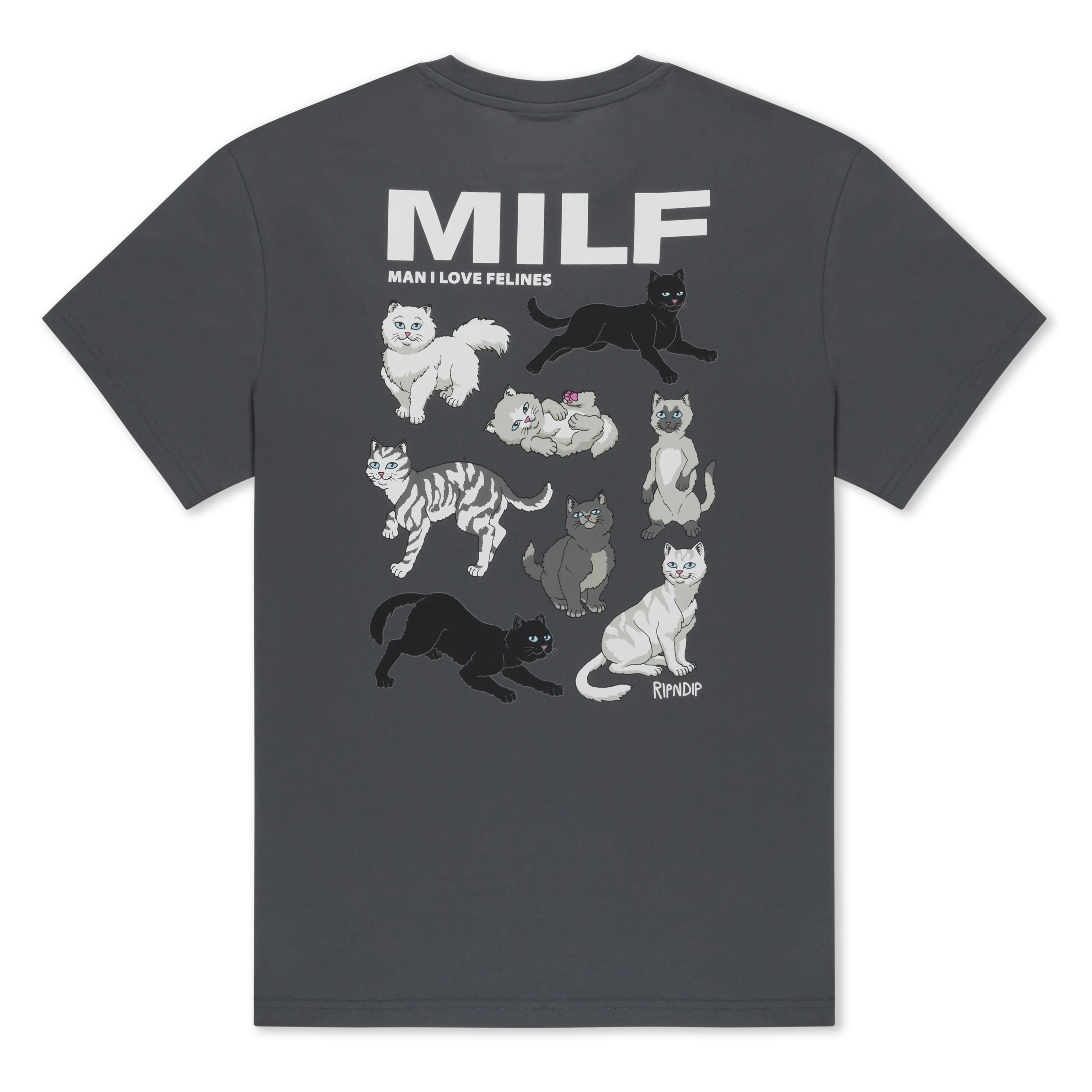 Men's 180 GSM Cotton Graphic Tee, Casual Short-Sleeve Round Neck Shirt with 'Man I Love Felines' Front and Back Screen Print - Charcoal