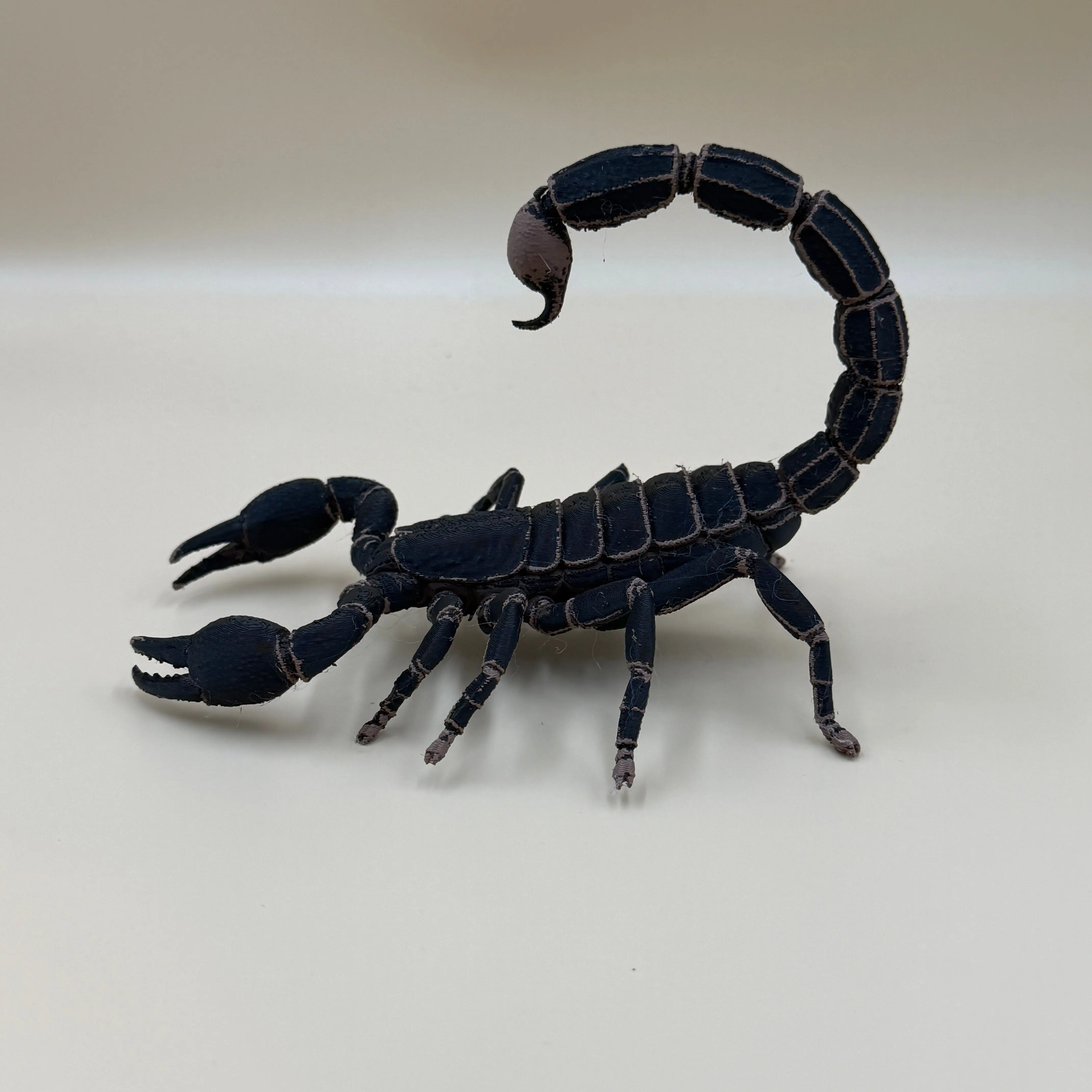 Scorpion