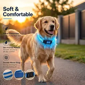 1 USB rechargeable LED dog collar with 14 modes, 360-degree visible light collar, waterproof adjustable safety collar, suitable for small, medium and large dogs, suitable for dogs and cats, essential item for night walks