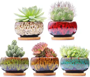 Ceramic Succulent Garden Pots Set of 5 with Drainage and Attached Saucer, 4 Inch Planter