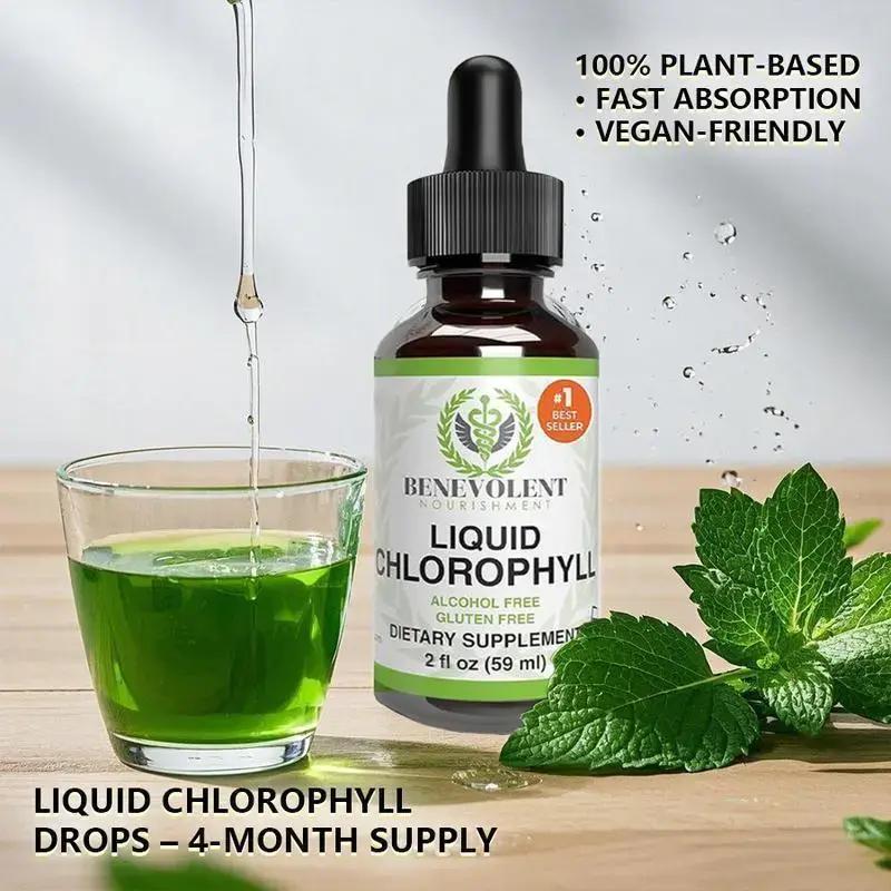 3x Liquid Chlorophyll Drops (4 Month Supply) Healthcare Supplement - Natural Deodorant and Detox - Gut Support Healthcare Liver
