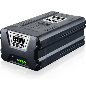 80V 5.0Ah GBA80200 Replacement for Greenworks 80V Battery GBA80250 GBA80500 GBA80400 Compatible with Greenworks 80V Max Series Cordless Power Tools
