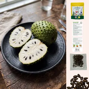 【SummerVibes】Organic Soursop (Graviola) Seeds – 30pcs Non-GMO Heirloom Tropical Fruit seeds