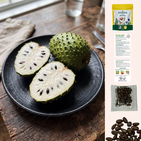 Organic Soursop (Graviola) Fruit Seeds for Planting - 30 Non-GMO Heirloom Seeds, Home Planting & Outdoor/Indoors Garden Supplies, Plant Seeds for Outdoor Gardening
