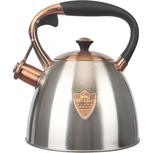 Tea Kettle -2.9 Quart Tea Kettles Stovetop Whistling Teapot Stainless Steel Tea Pots for Stove Top Whistle Tea Pot