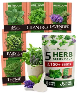 5 Herb Seeds for Planting 2,150+ Non-GMO Heirloom Seeds | Extra Large Variety Pack Herb Kit – Indoor Outdoor & Hydroponic | Culinary Seed Set | Grow Your Own Herbs | Gift for Beginners