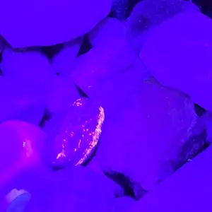 Lepro 51 LEDs UV Light Handheld Blacklight, UV Flashlight Black Light, 395nm Detector for Pet Urine, Stains, Bed Bug and Scorpions, Battery Not Included