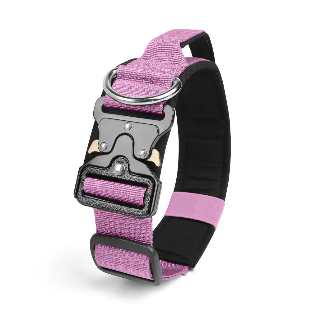 Purple (new color option)