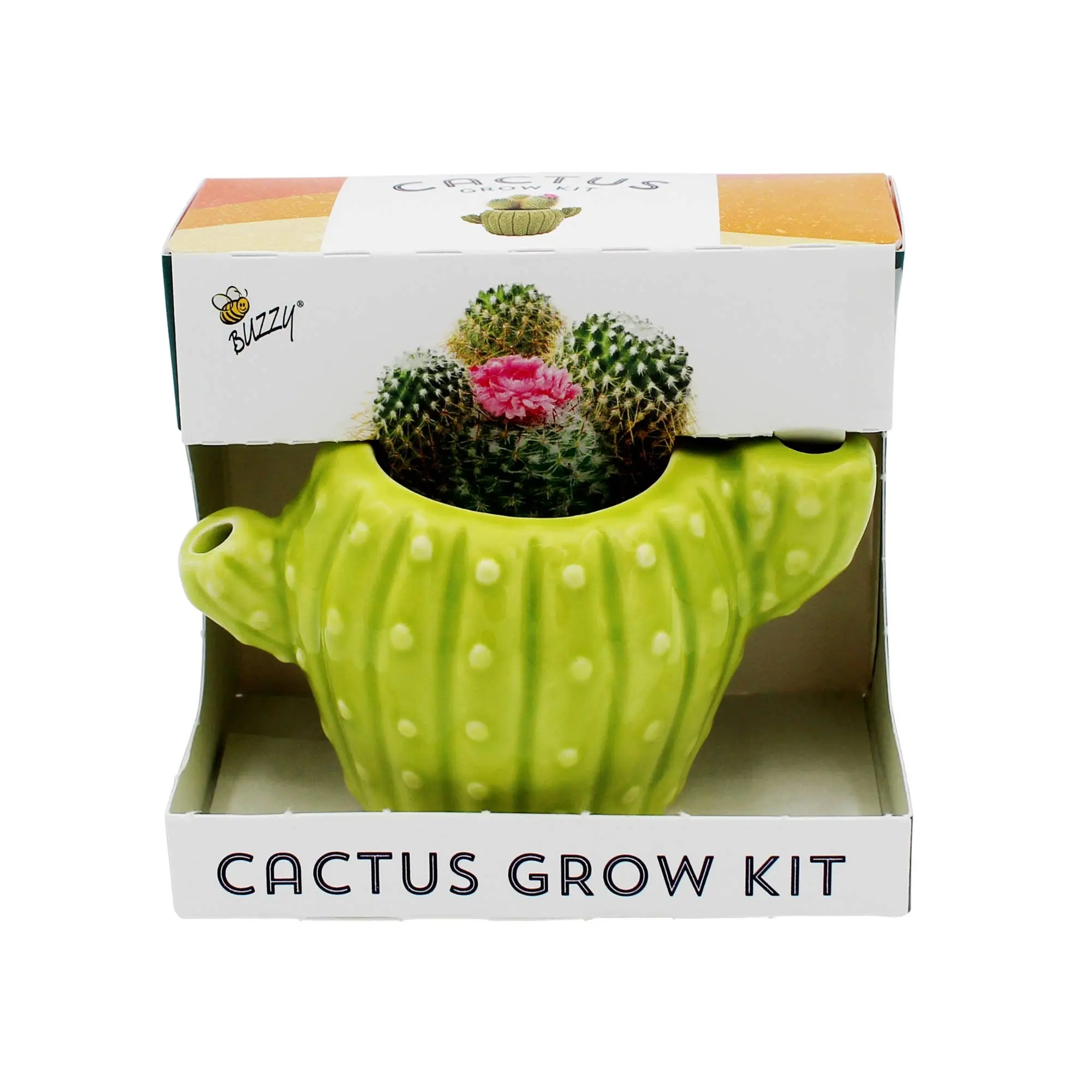 Minimalist Classic Cactus Grow Kit with Terracotta Planter - Indoor, Low-Maintenance, Nutrient-Rich, Easy Setup Beginner-Friendly Set for Wedding Favors, Event Giveaways