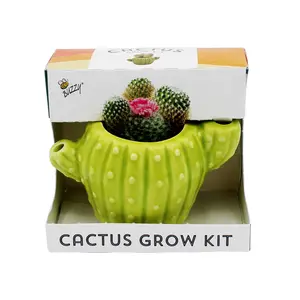Classic Cactus Grow Kit | Terracotta Planter