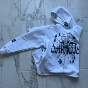 Ohpacity Spider Hoodie