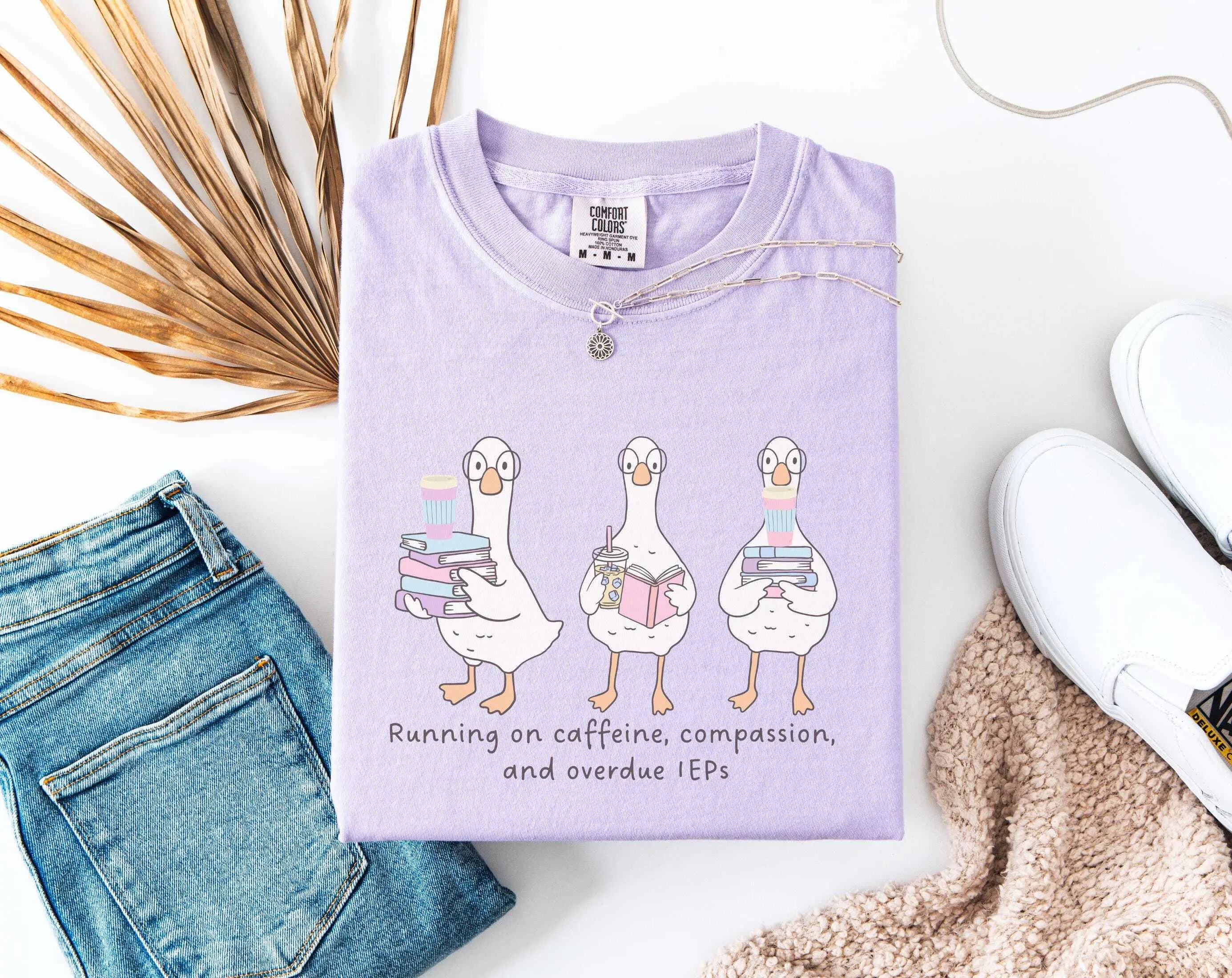 Comfort Colors® Silly Goose SPED Teacher Shirt, Special Education Teacher Tee, Funny Teacher Gift, Inclusion Squad Shirt, RBT Para OT Tshirt Top Womenswear