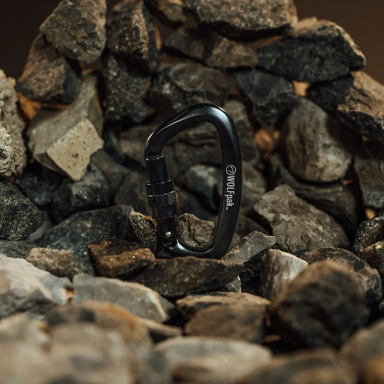 Accessory Carabiner Black & Black Accessory Carabiner Black & Black