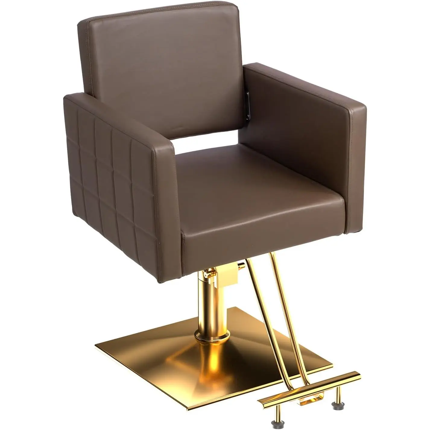 Barber Chair Hair Salon Chair with Heavy Duty Hydraulic Pump, Square Base, Stainless Steel Footrest,Styling Chair for Beauty Spa Hairdressing Braiding
