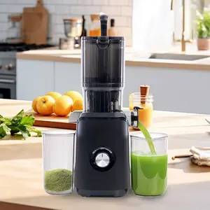 4.25" Wide Chute Cold Press Juicer - Whole Fruit & Vegetable Slow Masticating Juicer, Quiet Motor with Reverse Function, Easy Clean for High Nutrient Juice