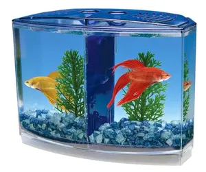 Penn-Plax Twin Betta Bow-Front Kit for Aquarium Blue, Green, Tank is 7.5" Across The Front, 6" Across The Back