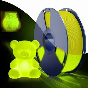 Petg Glow-In-The-Dark Filament 1.75mm, 1kg/2.2lb Spool, High Brightness & Long Glowing Time, Precision +/-0.02mm, Ideal for 3D Printing