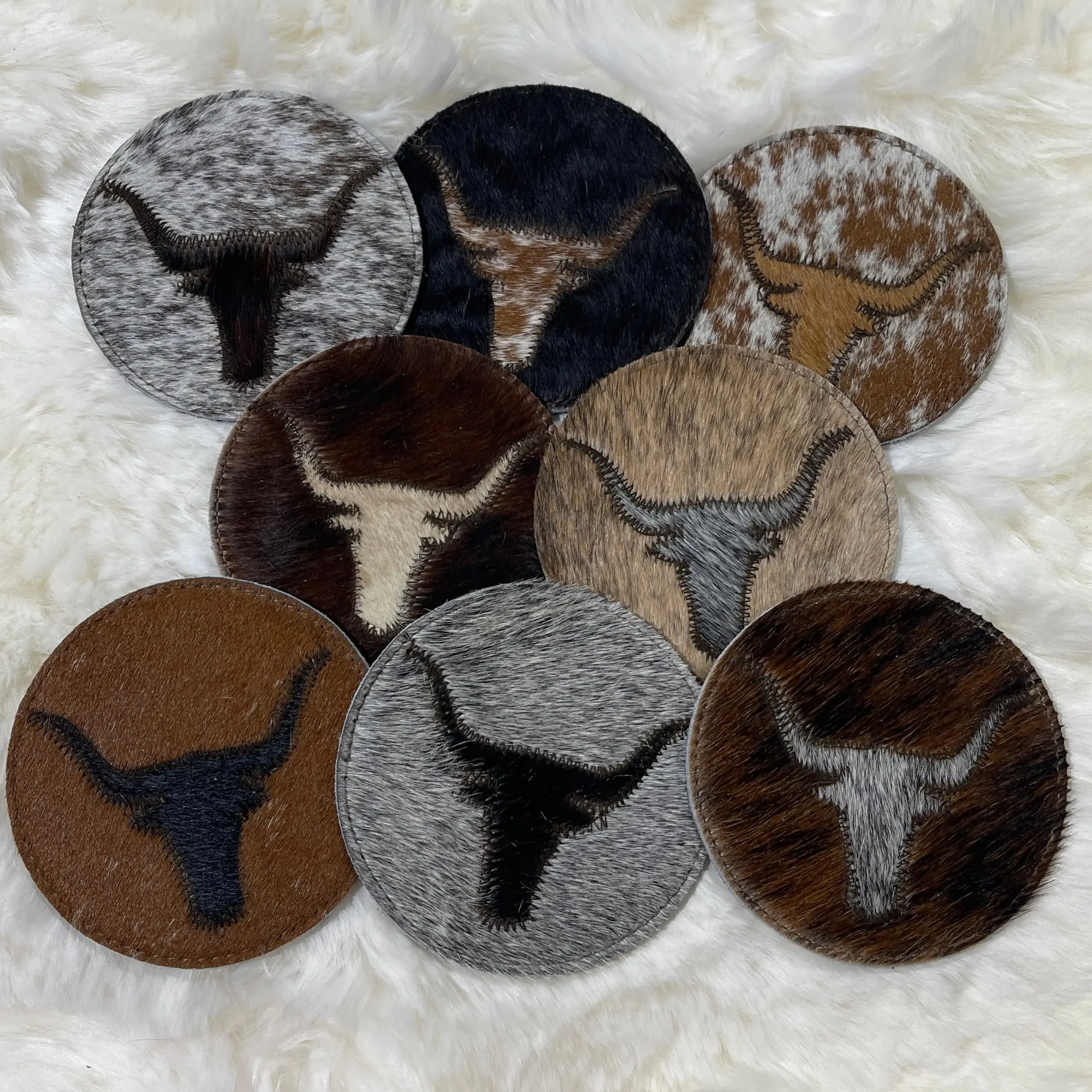 Longhorn Coasters