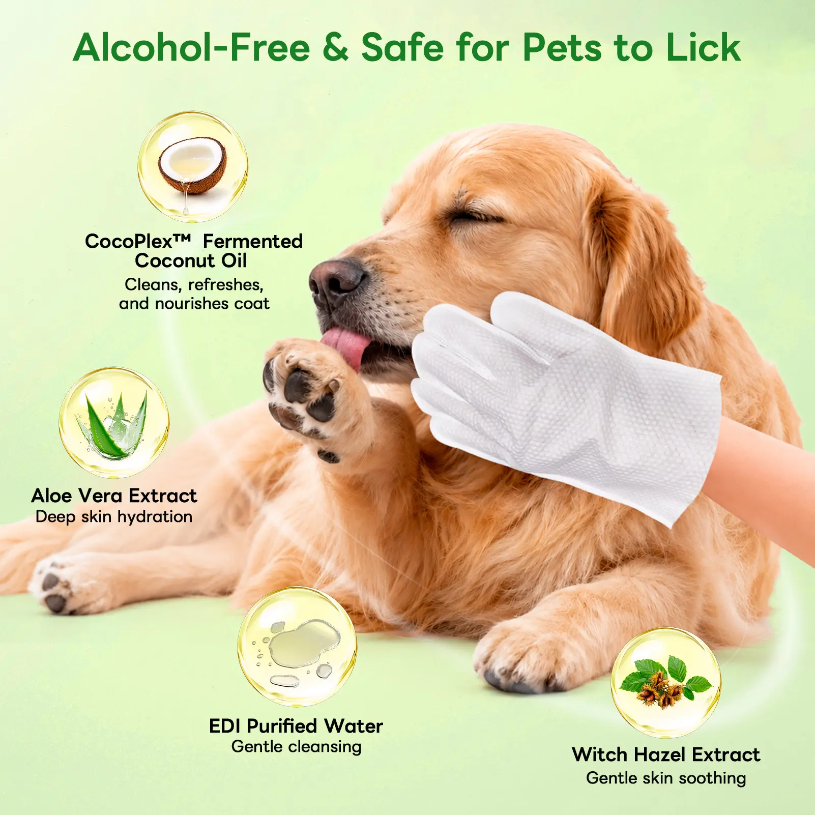 Dog & Cat Cleaning Glove Wipes, No-Rinse Grooming Wipes for Paws, Coat and Everyday Cleanup, Extra-Thick Individually Wrapped Pet Wipes for Home and Travel