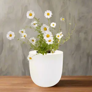 Chamomile Hydroponic Kit