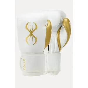 Evolution Boxing Gloves