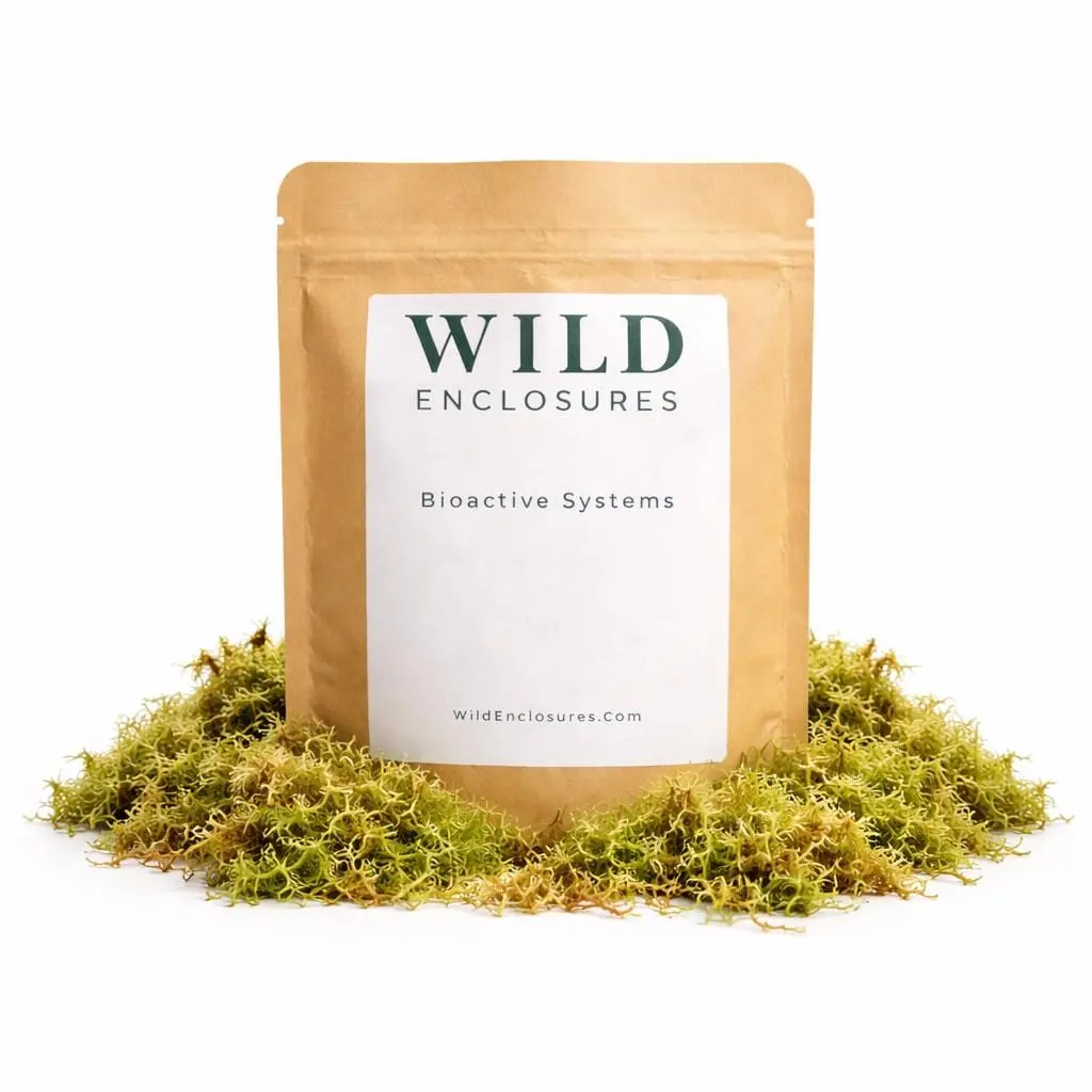 Sphagnum Moss for Bioactive Terrariums, Isopods & Reptiles