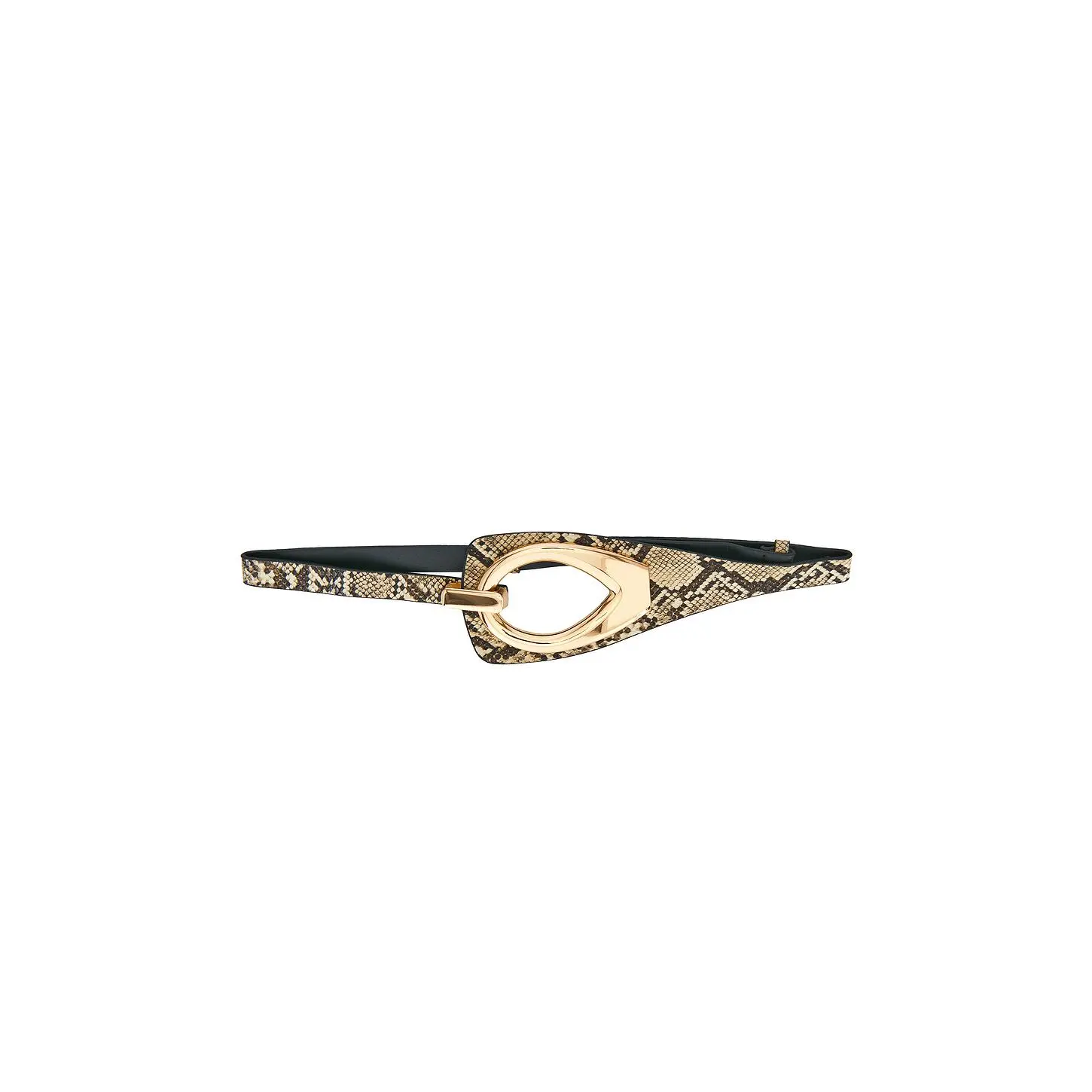 8 Other Reasons Snake Belt With Gold Hardware in Snake