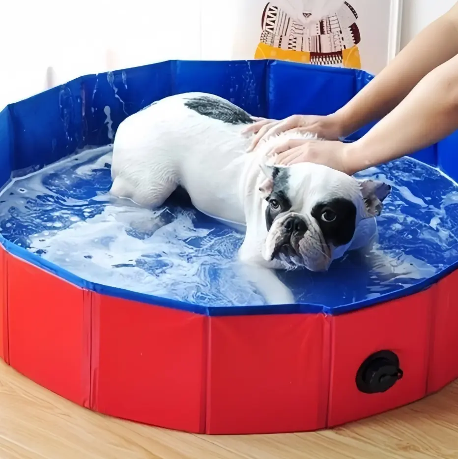 63"x12" Durable Foldable Hard Plastic Dog Swimming Pool, Fun Collapsible Pet Bathtub (Home & Bathroom Supplies Wash Tub)