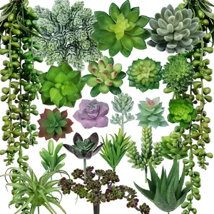 22 Pcs Bulk Artificial Succulents Plants Unpotted Small Aloe Hanging String of Pearls Cactus Green Fake Succulents for Succulent Garden Arrangement Centerpiece Wall Indoor Outdoor Home Decor - Home Improvement.