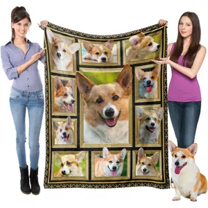 Corgi Kids Blanket, Super Soft Fuzzy Dog Throw, Corgis Print Plush Gift for Boys, Girls