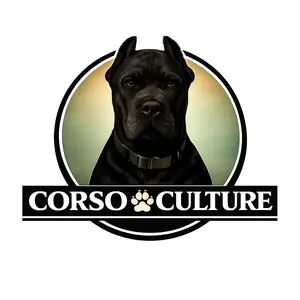 Corco Culture- CORSO CULTURE Premium Muscle Hoodie