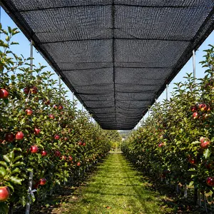 6FT x 50FT Black Fence Privacy Screen, Windproof Shade Cloth, Outdoor Garden Protection Cover