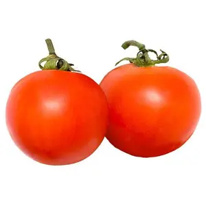 Jet Star F1 Tomato Seeds