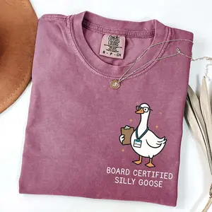 Silly Goose Behavior Analyst Shirt,  Behavior Therapy Shirt, Custom Behavioral Therapist Shirt, BA BCBA gift, Behavior Tech
