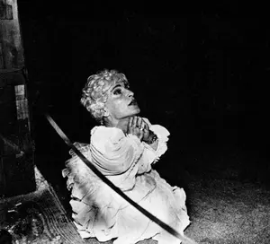 Deerhunter - Halcyon Digest  [VINYL RECORD - LP]