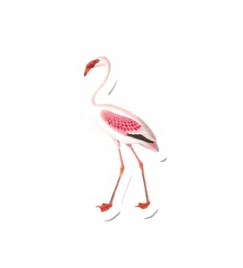 Birdy Flamingo Home Decor Tattoos