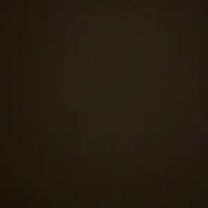 review image 5