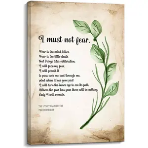 Wall DecorLitany Against Fear By Frank Herbert Quotes Poster Fear Is The Mind Killer Colorful Gifts Room Decoration Ornaments Artistic Photo Print