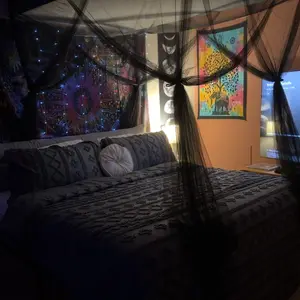 Bed Canopy,Canopy Bed Curtains Bed Drapes for Full Queen King Size Bed,Mosquito Net Bed Curtains for Patio Indoor Outdoor Net,Bed Canopy Curtains for Gothic,Halloween Decoration